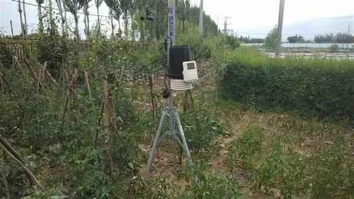 ���ɹź�������ũ��С����۲��ǳ�Ϊũ��»�����