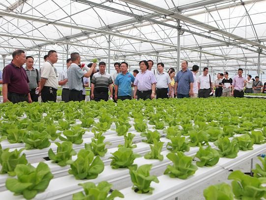 福建省种业创新与产业化工程正式启动