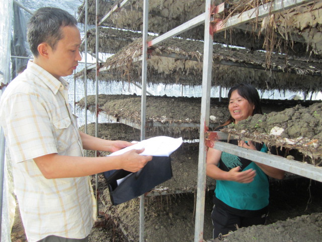 福建三明市三元区:开展菇房安全排查及防范工作