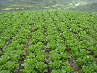 �ຣ�����������ز����ӹ�������׳�2