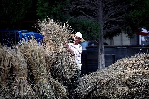 ʡƽ̨ضũջС׼루626㣩