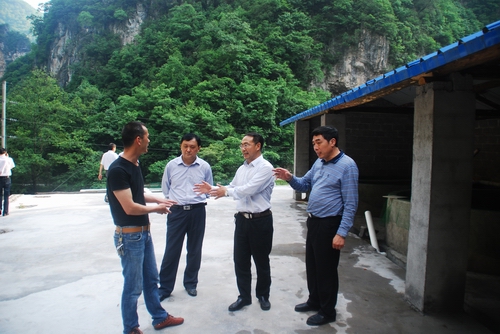 ί鳤ũҶԪũ־־ֳȶͬС