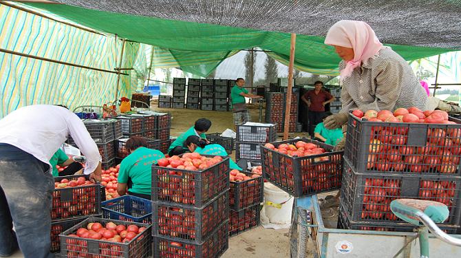 ������ͭϿ�������ʩ�ٹϲ˲�ҵ��չ