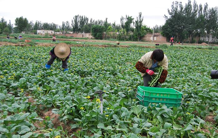 ������ͭϿ�������ʩ�ٹϲ˲�ҵ��չ