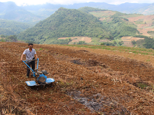 云南镇康县科技人员送种送肥到村寨 组织农户翻种补栽