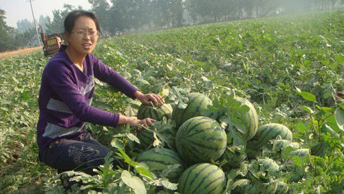 ��������������������3��Ķ���ϲ�ֵ1.8��Ԫ