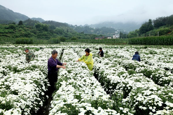 ������ذ�����ջ������