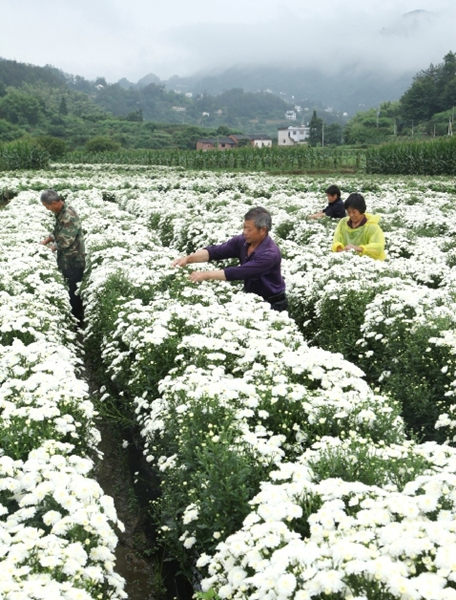 ������ذ�����ջ������2