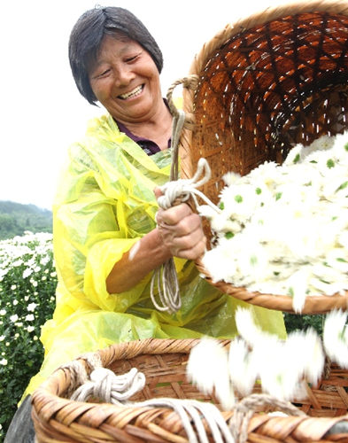 ����ջ������