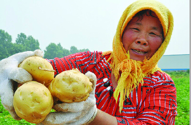 ɽ���ൺ���������ײ� Ķ��5510����