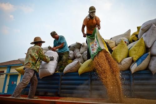 �������ݣ�������� ��ֹũ�������ѡ�