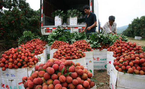 ����������֦����ͻ����ʷ��߲�