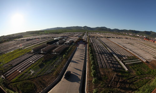 ������ǿ������ȫ������ľ��԰�������غ�ľ���������ҵ