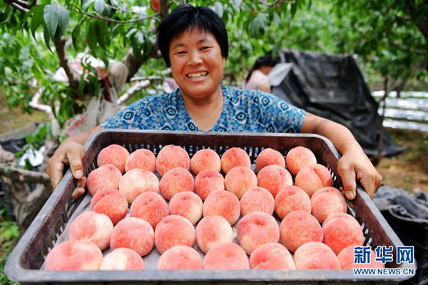 �ӱ�˳ƽ�أ����ҷ��չ�ũ��