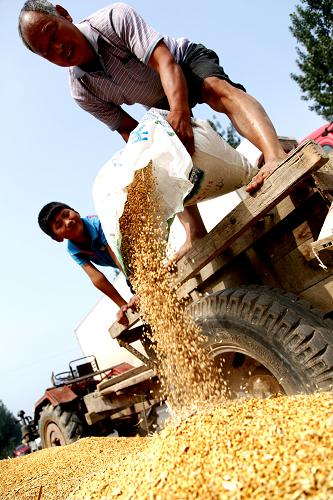 ���ϣ��������ս���æ