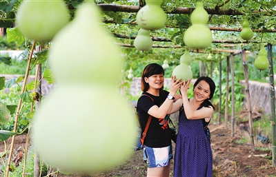 游客到文昌葫芦村游玩。