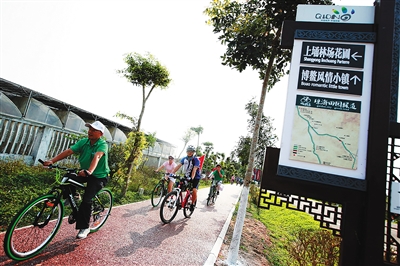 上百名驴友在琼海龙寿洋国家农业公园的骑行绿道上惬意骑行。