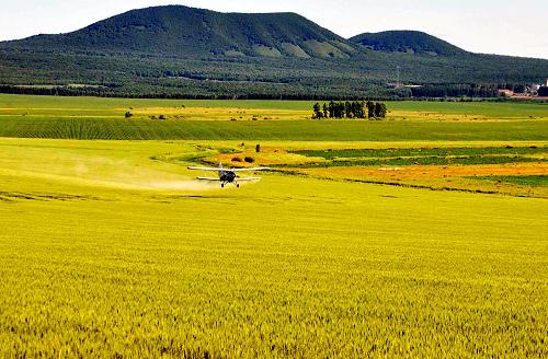 ����������������ҵ