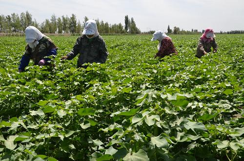 76գ½ŵһʦŵְժ޻ġ