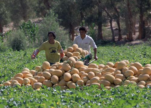 77գ½ϺĹũڲժʹܹϡ