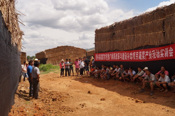 云南景谷县农业和科学技术局举办基层补助项目蔬菜产业现场实训会