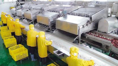 广西北海:荔枝深加工 解丰收“烦恼”