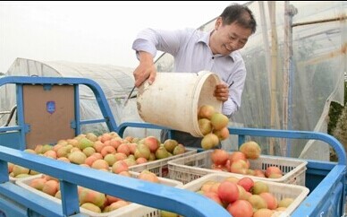 ���մ�����·���һ��һ�������ʵЧ