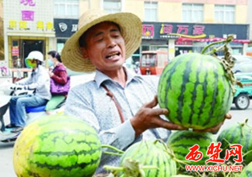 ���³����ߵ����ϼ۸񡰴��ס� ������Ǩ��ũ������̾