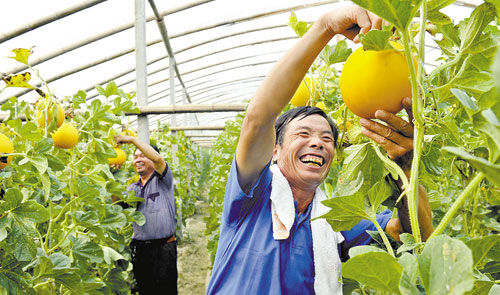 ̨ǰغοӴũũҵ԰ժ