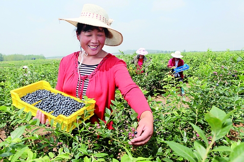 ����ʡ�����ش�����չ�ִ���ʩũҵ