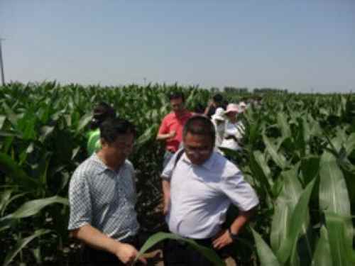 ɹͨп³׳߲ʾܸ߲Ʒֳͻ