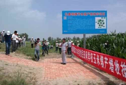 内蒙古通辽市扎鲁特旗召开高产创建玉米全膜种植技术现场观摩会