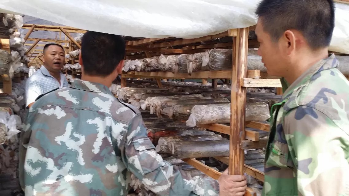 ¸£½¨½«ÀÖ£ºÁã¾àÀë·þÎñ ½â¹½Å©Ö®ÄÑ