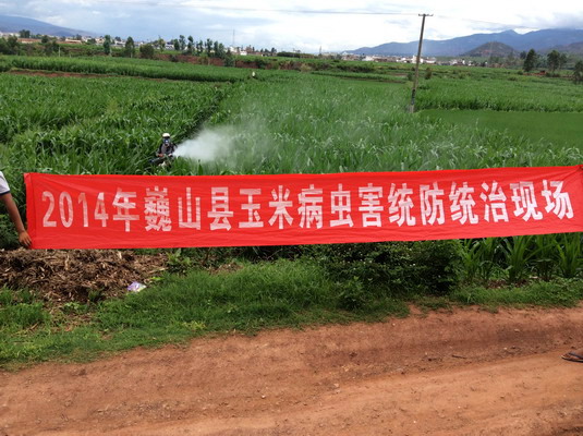 Ρɽֲֲ칤վ׳溦ͳʾ