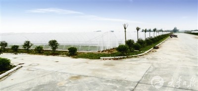 ���մ��֧�ˡ����ӡ��Ĵ���²ˣ�һ��ũҩҲ���ô�