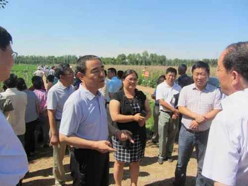 ɹŰ׶ٿֲҵ߲Ч༼ƹũҵƼʾ԰ֳĦ2