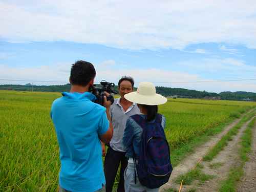 ��̨���߲ɷú����縺����������