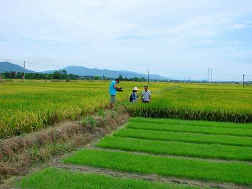 ����������רҵ���������