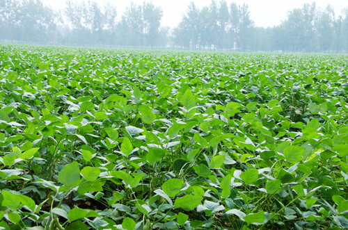 ��������κׯ��ǧĶ��ë����������