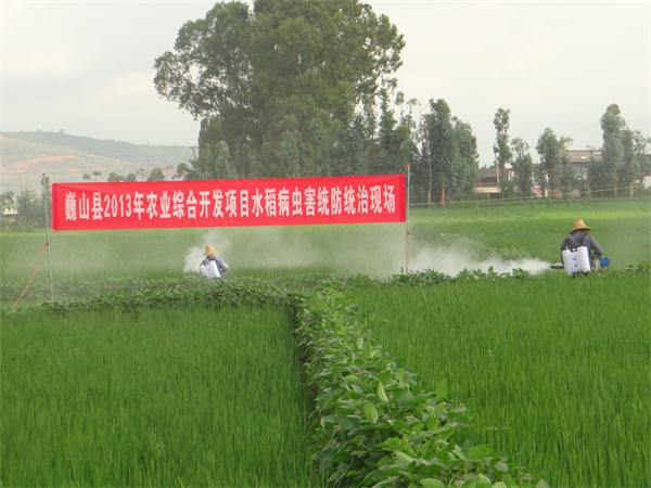 ΡɽũҵۺϿĿչˮ溦ͳͳ