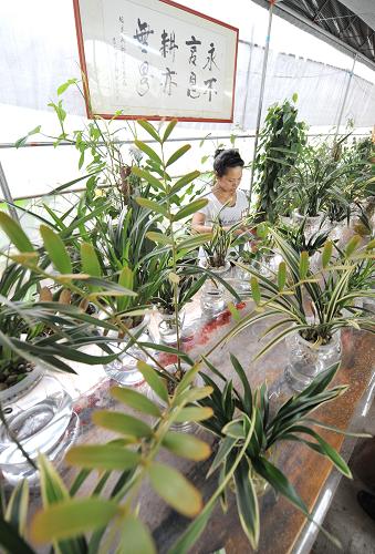 711գũҵ޹˾Ա޼ˮ໨ܡ