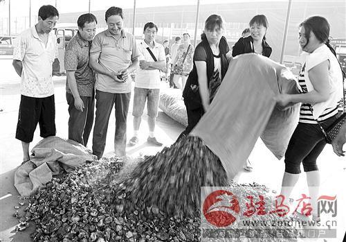 ���������أ��������㹽��������