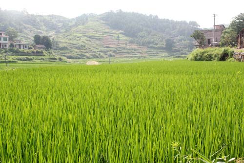 ʡרָسĿĶʾƬ2