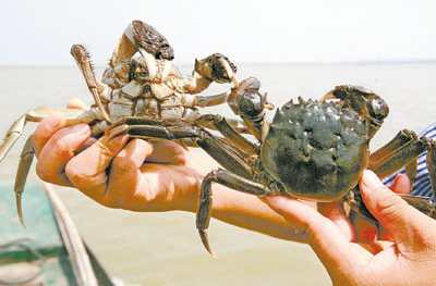 Ϻ»ơ۸ȥƽ 7Ѯи߷