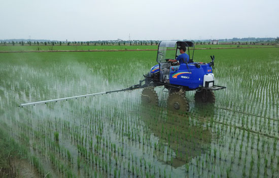 ���ջ�������������������ũ��