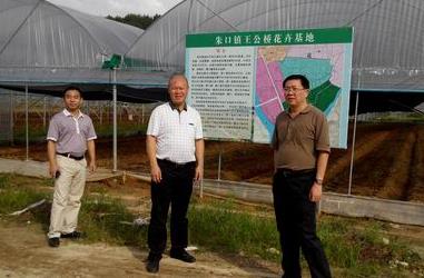福建泰宁:督查省级设施大棚补贴项目