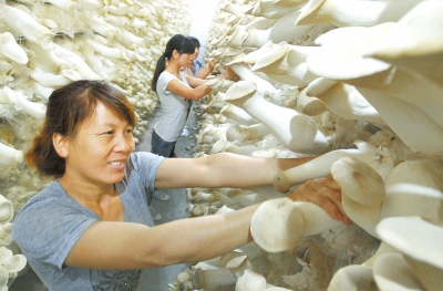 �������ݣ��ӱ�������������