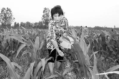 ���ϻ��أ�ũҵ������ũ����