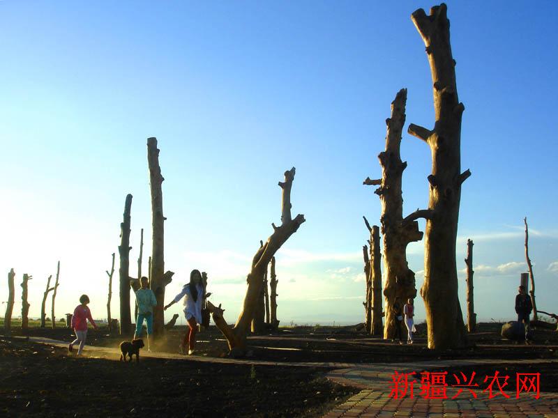 �½�ԣ������̬԰��Ϊ�����������ֺ�ȥ��