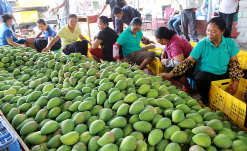 717գڹɫͷɳ廨ɽͣһũڲժâ